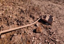 Незаконни тръби за мръсна вода се появиха след спадането на нивото във водоема на Николово /ВИДЕО/